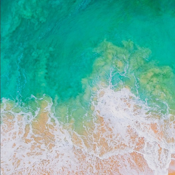 Meet your Posher, Brianna - Picture 1 of 1